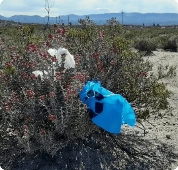 A plastic bag sitting on top of a plant.